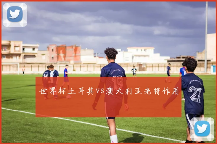 世界杯土耳其vs澳大利亚老将作用