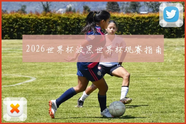 2026世界杯波黑世界杯观赛指南