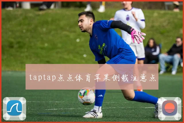 taptap点点体育苹果侧载注意点