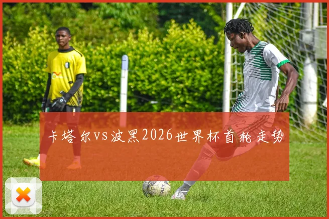 卡塔尔vs波黑2026世界杯首轮走势