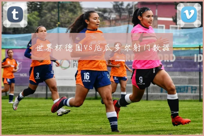世界杯德国vs厄瓜多尔射门数据