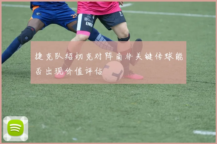 捷克队绍切克对阵南非关键传球能否出现价值评估